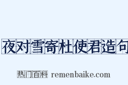 夜对雪寄杜使君造句是什么意思的图片
